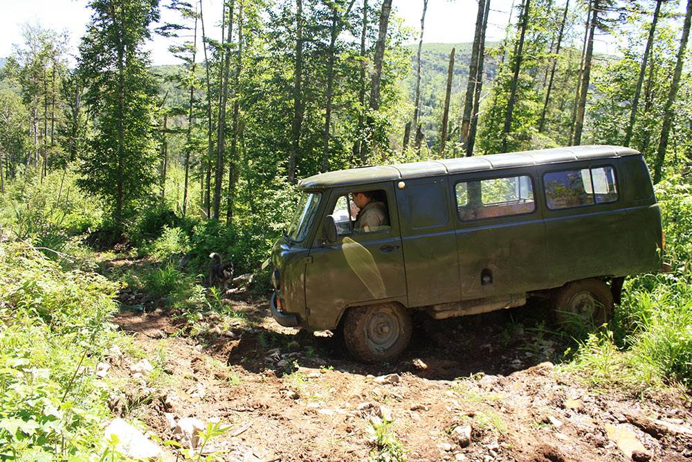 Здесь я за рулем уазика — выезжаю из&nbsp;леса на&nbsp;грунтовую дорогу