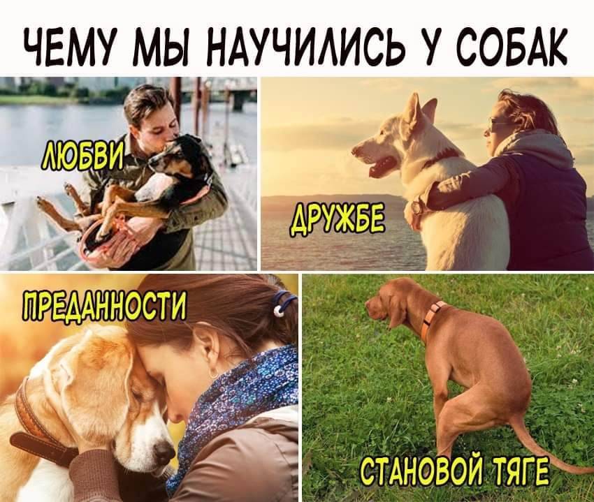 Изображение пользователя Филиппыч