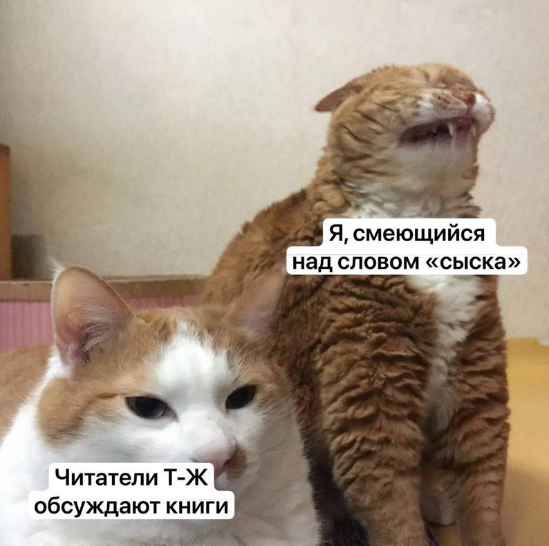Изображение пользователя Мушу