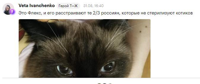 Изображение пользователя Анастасия Цильке