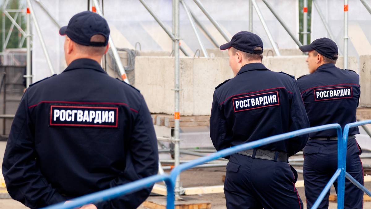 Вневедомственная охрана Росгвардии: чем занимается, чем отличается от ...