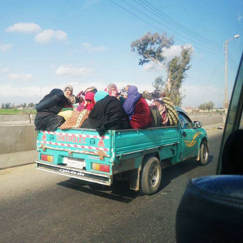 В Египте можно увидеть местных жителей даже в кузове автомобиля. Передвигаться так небезопасно, но полиция не обращает на это внимания