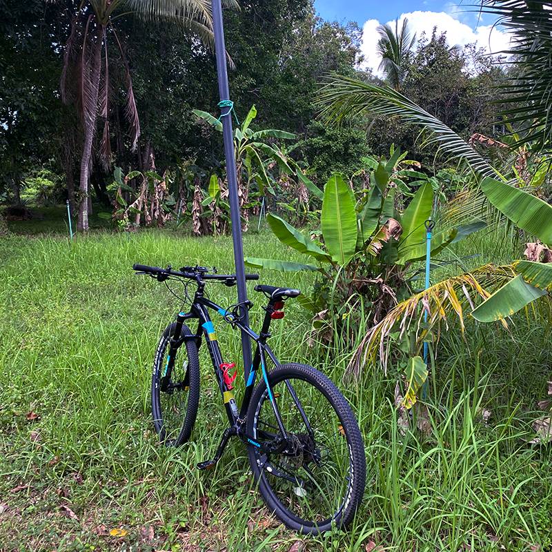 Велосипеды обычно парковали на лужайке перед домом