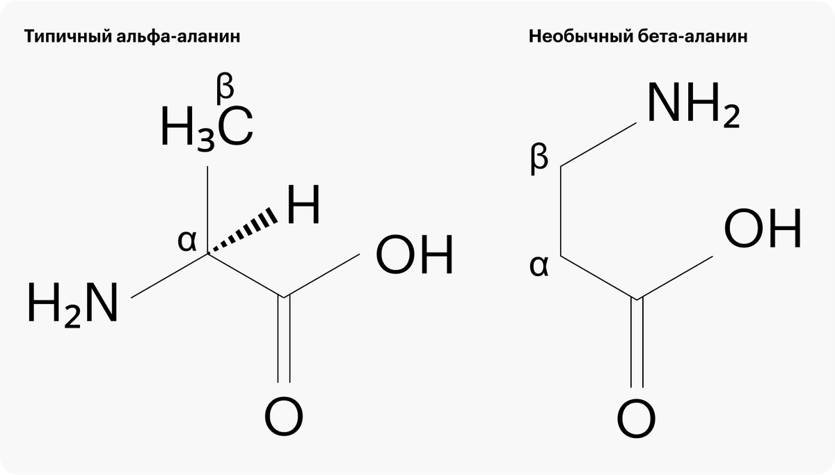 Аланин запах