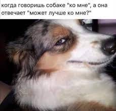 Изображение пользователя Huge