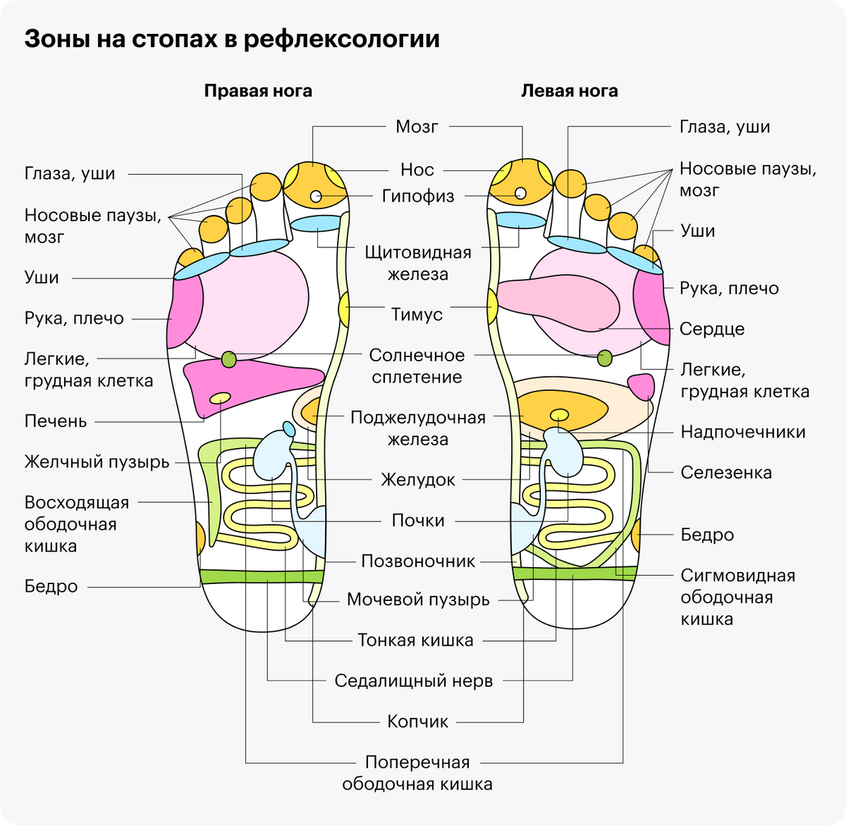 Доски ноги. Гвоздестояние точки на ногах. Доска Садху точки на стопе. Карта стопы. Гвоздестояние польза.