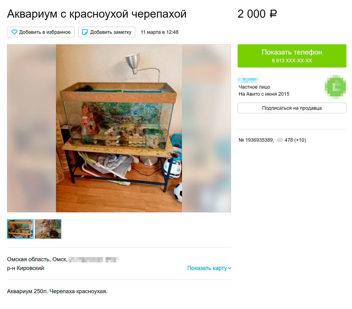 Вот продают маленькую черепашку с аквариумом за 2000 <span class=ruble>Р</span>. Источник: «Авито»