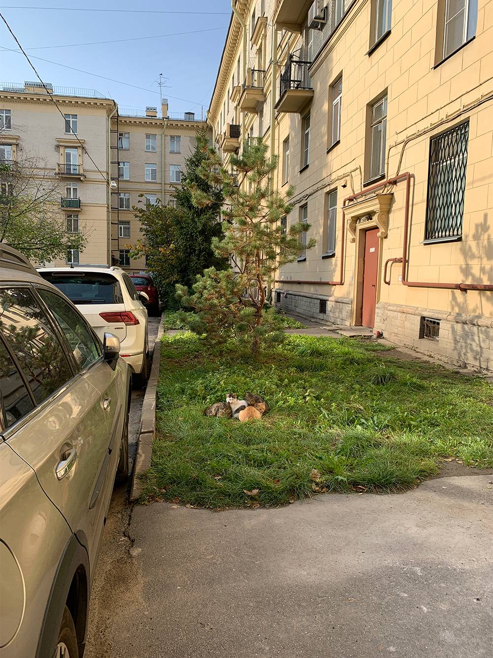 Экскурсионные автобусы из Таллина, маршрут 8 до Тюмени