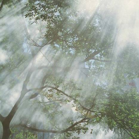 Айгуль Давлетшина