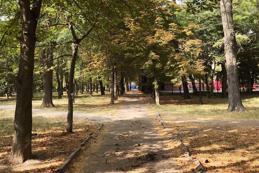 Пока погода позволяет, стараюсь есть на свежем воздухе