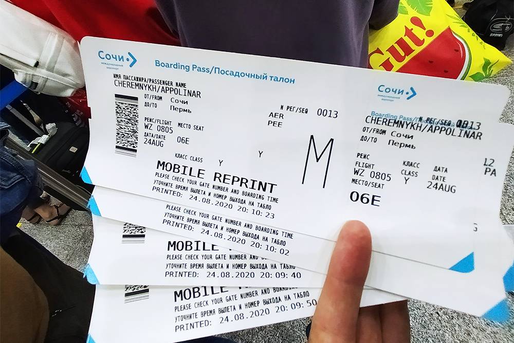 Абхазия билеты на самолет. Билет на самолет до Абхазии. Билеты на самолет Москва Абхазия. Билет на Абхазию самолет в Абхазию.