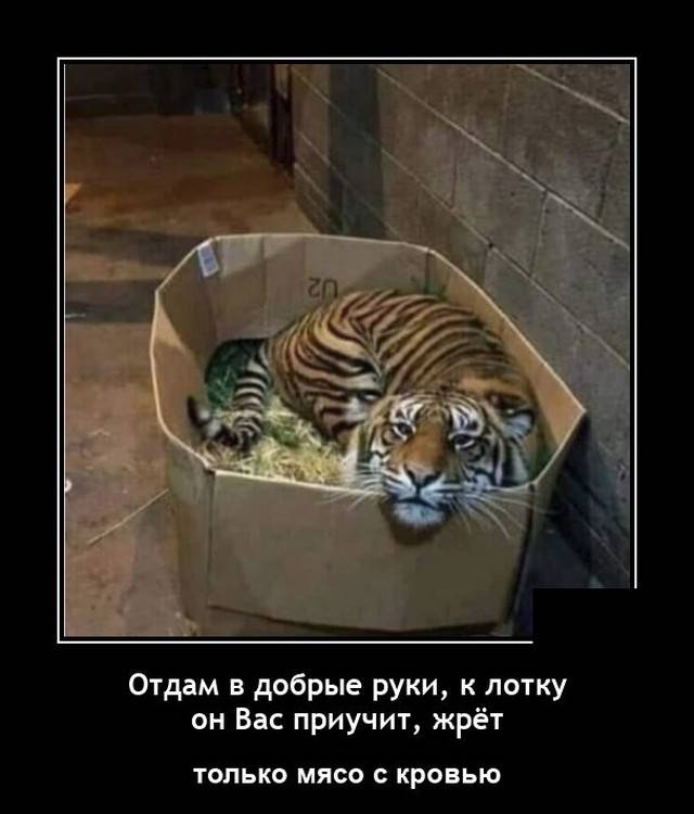 Изображение пользователя Евгений Клоков