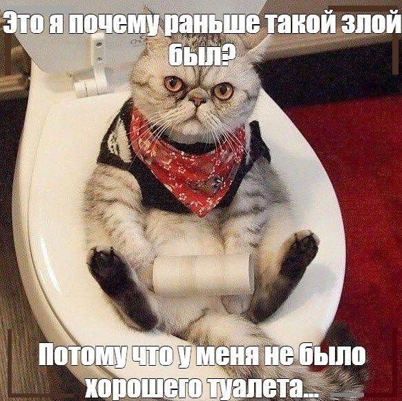 Изображение пользователя Филиппыч