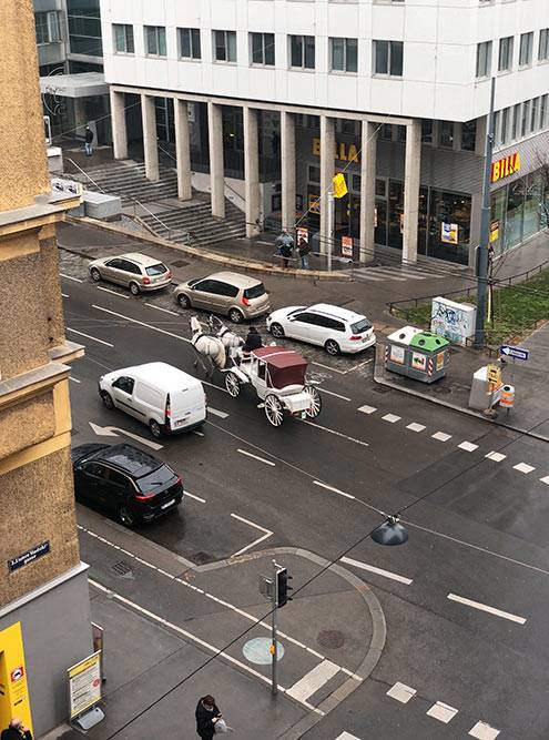 Под&nbsp;моим окном каждый день проезжают кареты в&nbsp;направлении старого центра. Типичная Вена