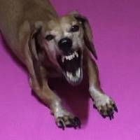 Вася Пупкин