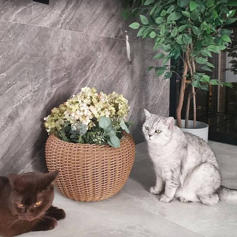 Это цветочные кашпо, которые плетут мама и жена, — и кошки клиента.