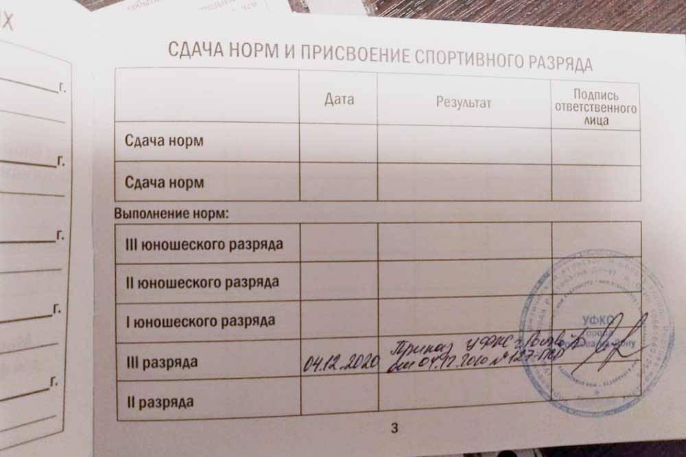 Квалификационный билет моего сына — там записывают все разряды до КМС включительно. Сейчас у него третий взрослый разряд