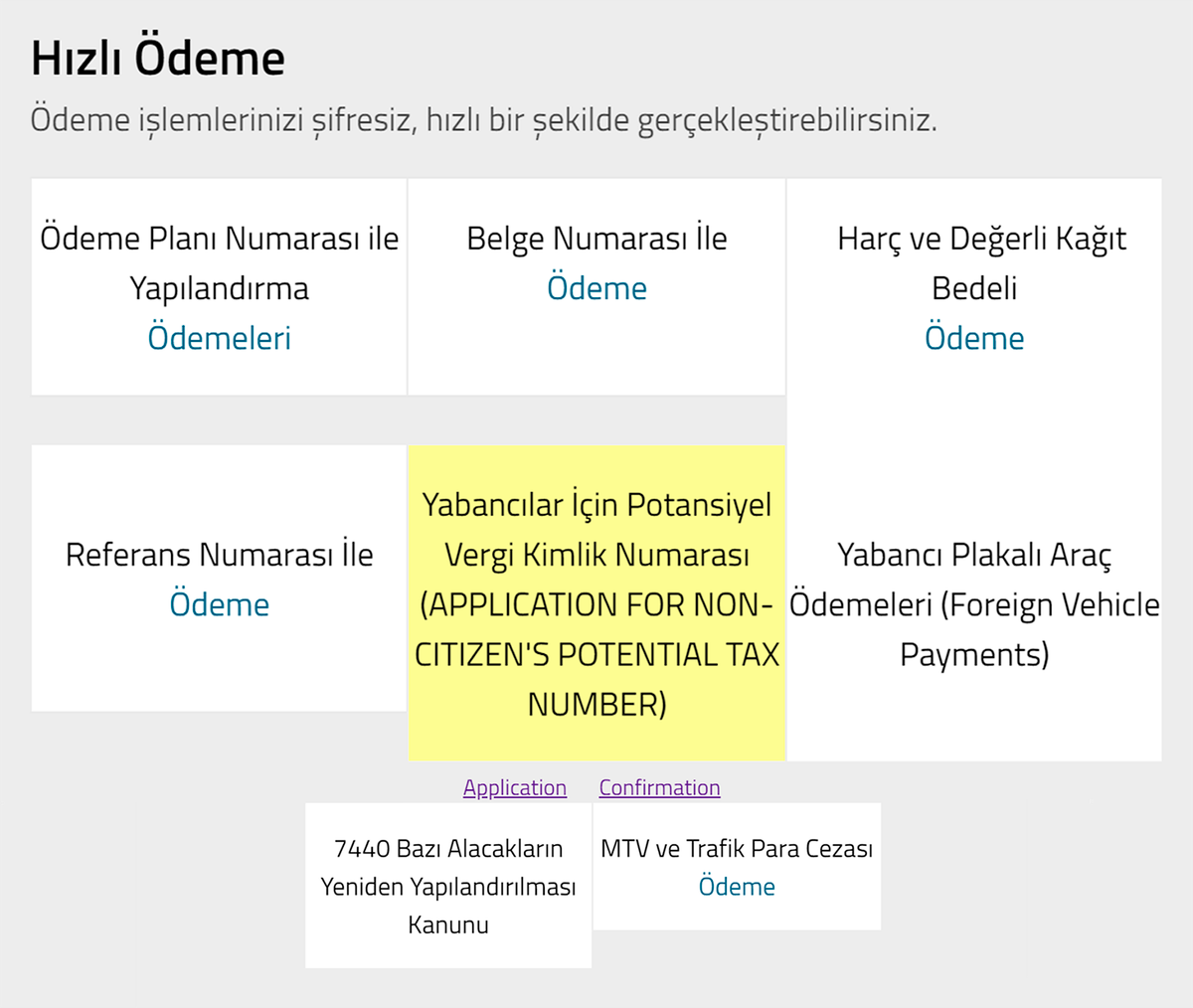 На сайте налоговой службы надо перейти в раздел Application for&nbsp;non-citizen’s potential tax number. Источник: ivd.gib.gov.tr
