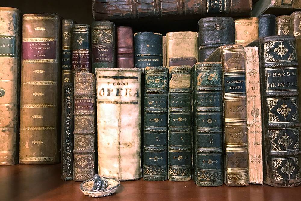Небольшая часть моей коллекции старинных книг