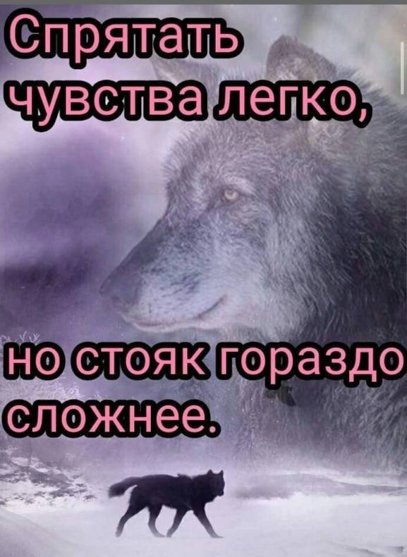 Сколько же вы все тут зарабатываете?