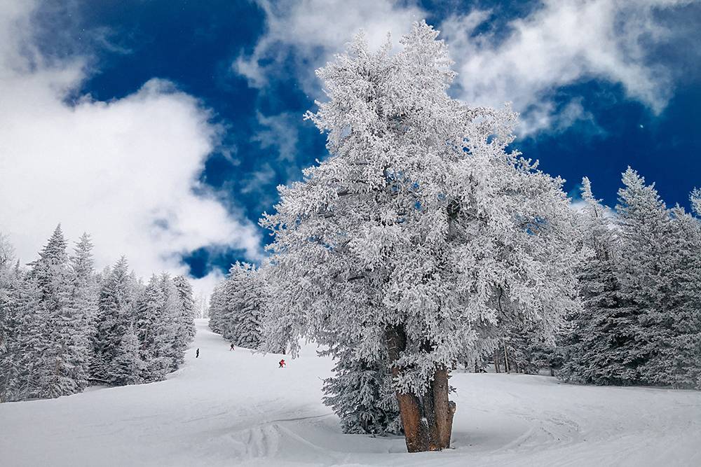 Снег в Аризоне