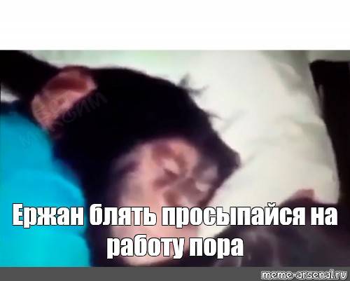 Изображение пользователя Игорь Галкин
