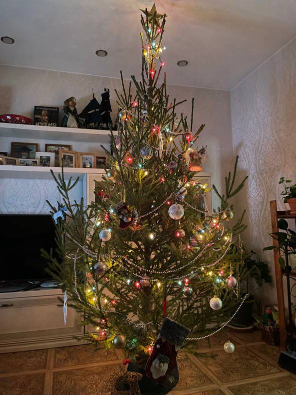 Новогодние привычки: обзаведитесь полезными привычками в новом году