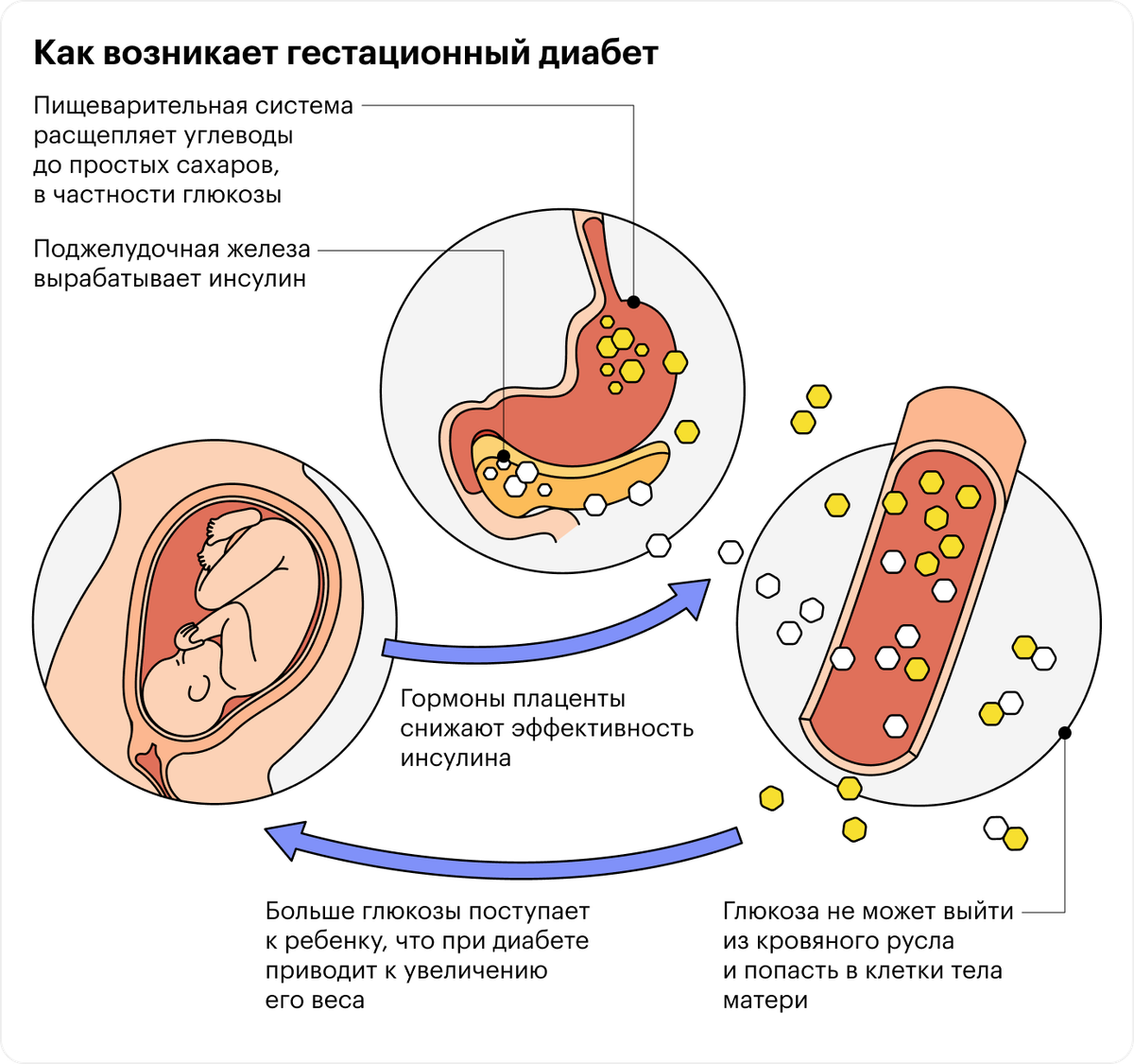 Гормоны плаценты презентация