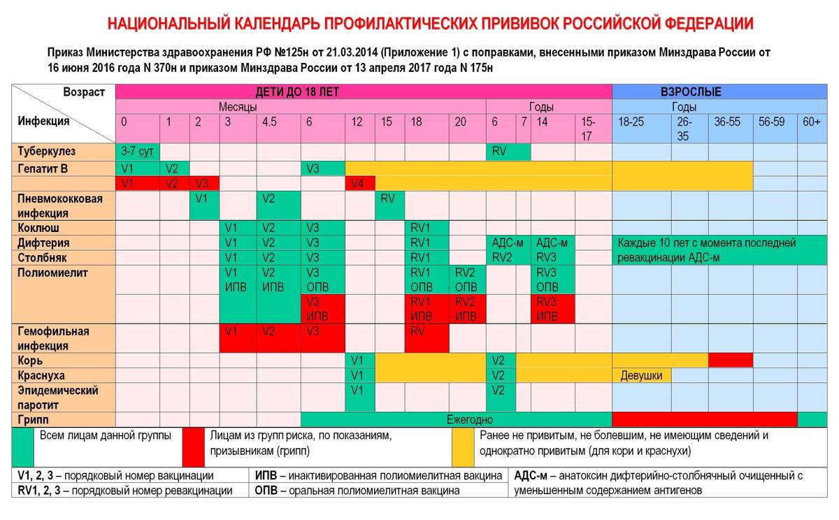 План прививок для детей