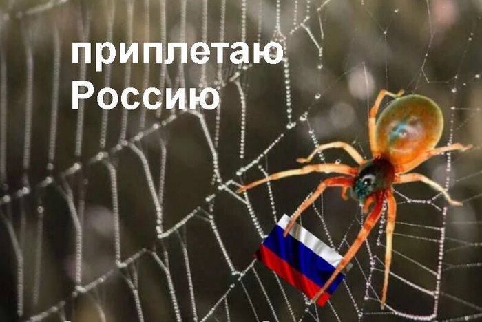 Изображение пользователя Веселый ежик