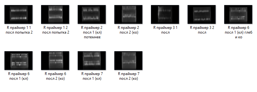 Изображение пользователя Boltunec