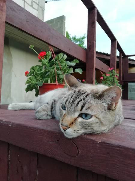 Marusechka