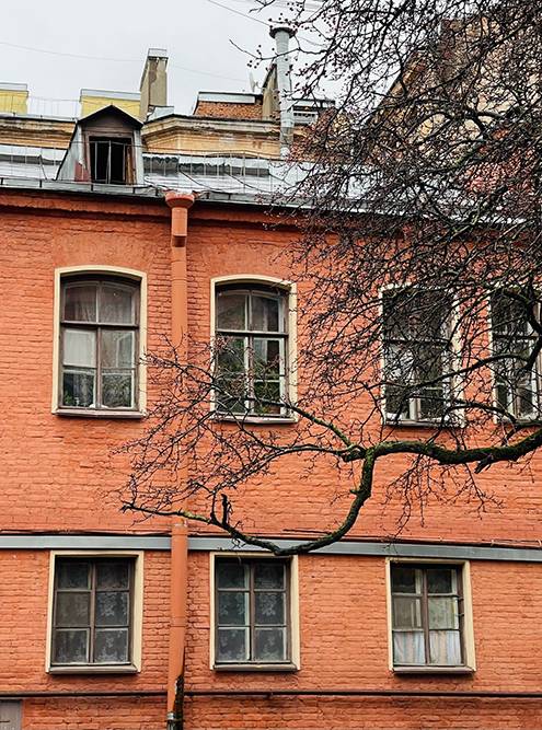 Санкт-Петербург необыкновенно красивый город, но мне очень грустно от того, что он разрушается. От неухоженности, небрежной и неумелой реставрации и из-за того, что властям нужны хорошие места под&nbsp;дорогую застройку.