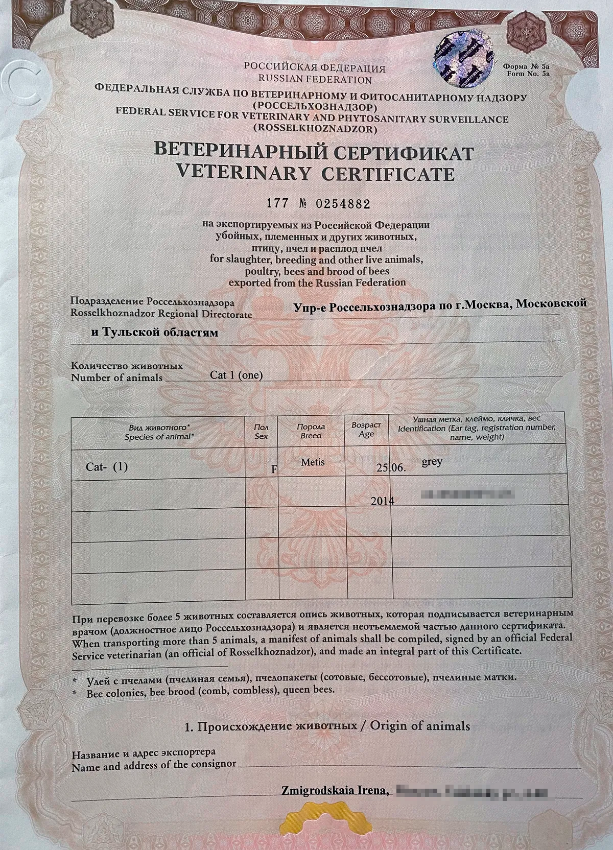 Какие прививки нужны для перевозки кошки в поезде