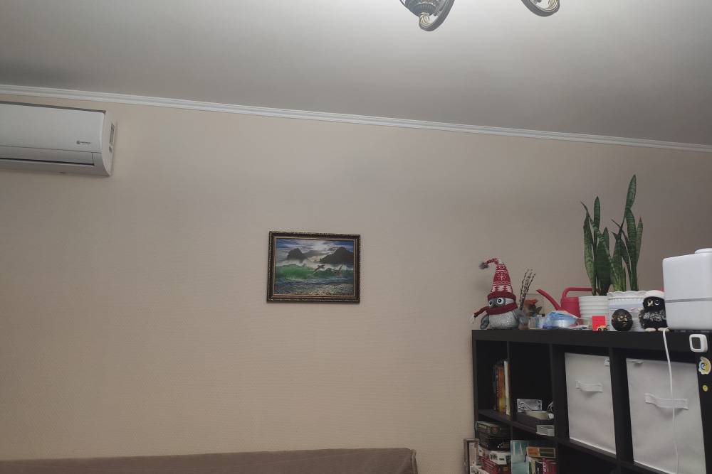 Картина, которую я повесил. Справа от нее, на стеллаже, — две Сансы и Леха. Слева, на стене, — Клим Саныч