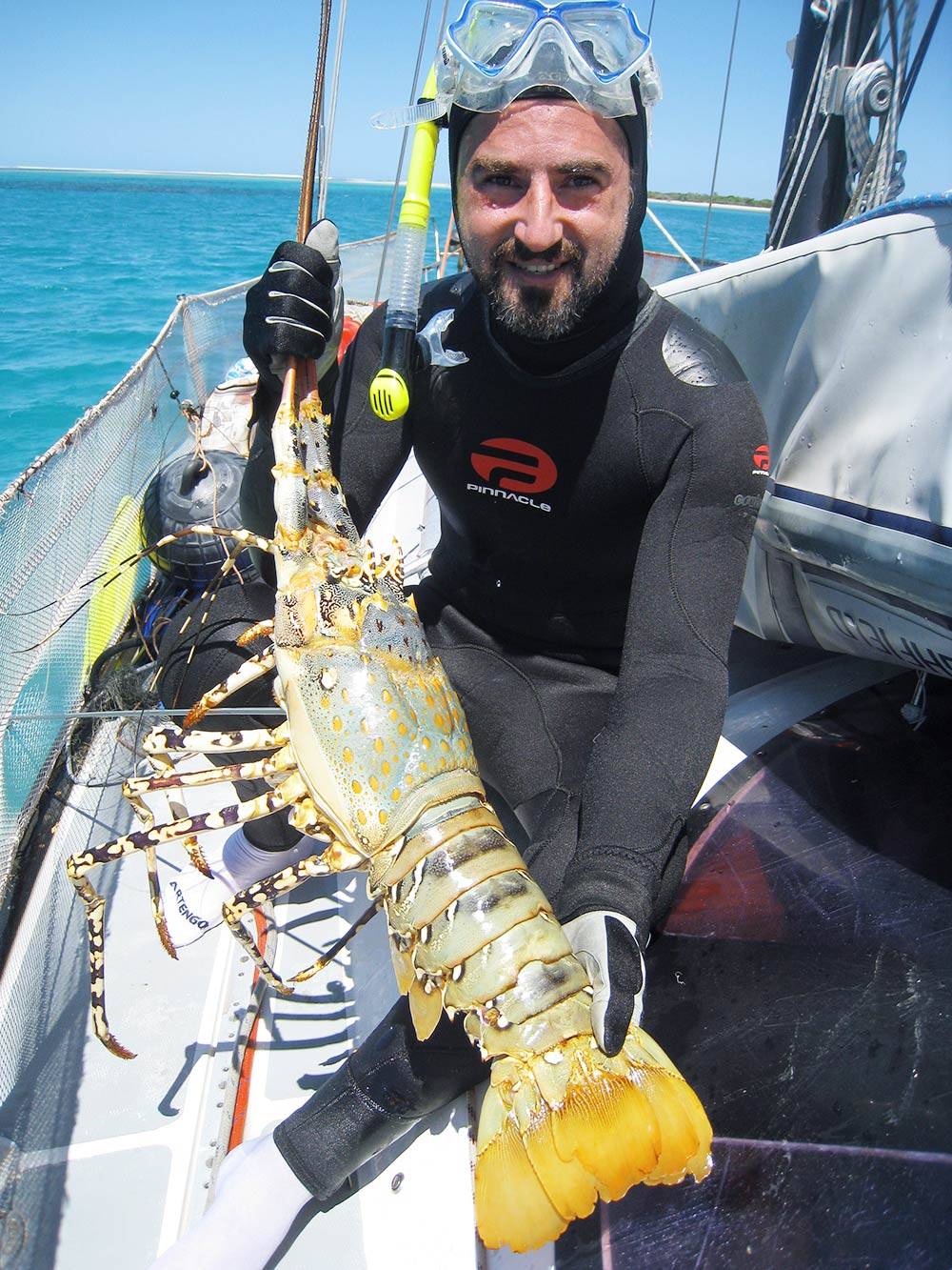 Этот лобстер пойман в Новой Каледонии на глубине всего в пару метров. Мы двое суток ели его на завтрак, обед и ужин
