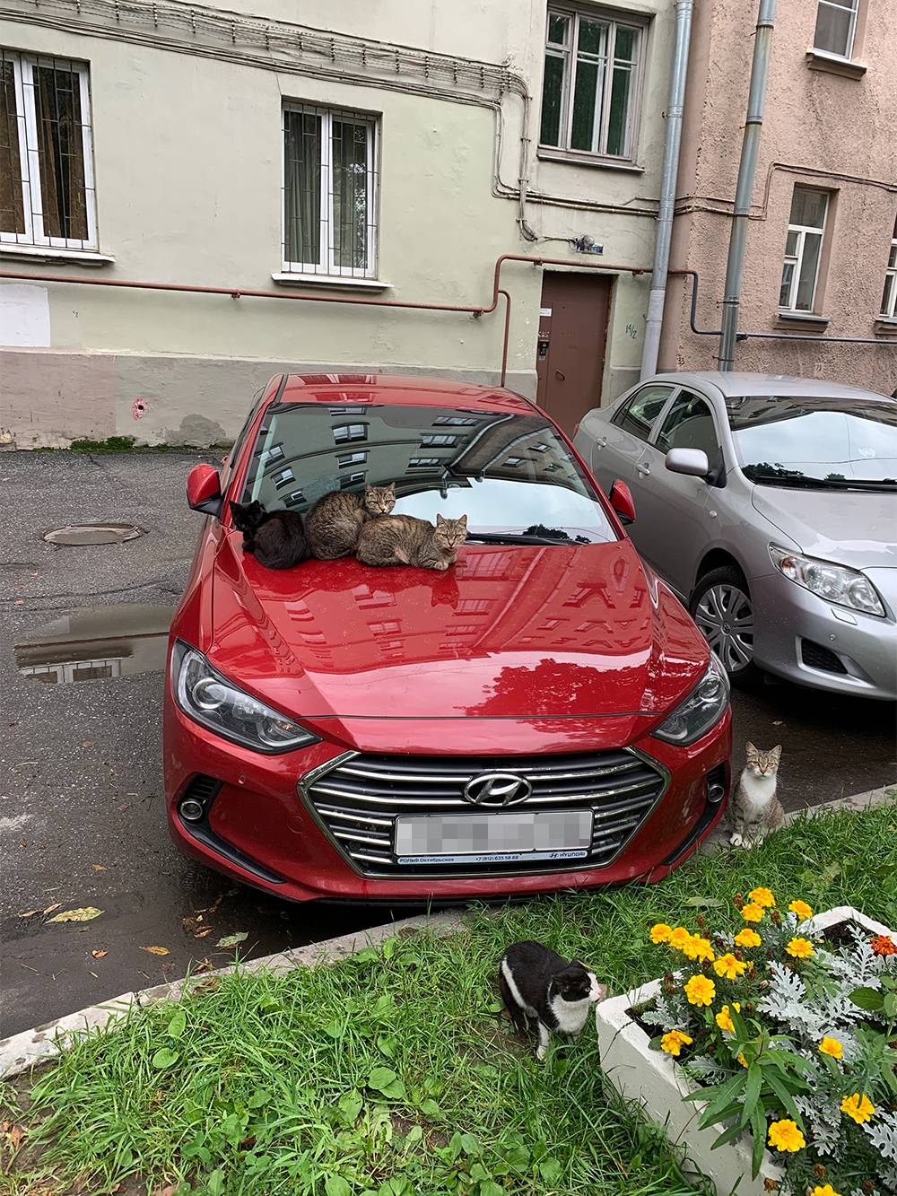 Экскурсионные автобусы из Таллина, маршрут 8 до Тюмени