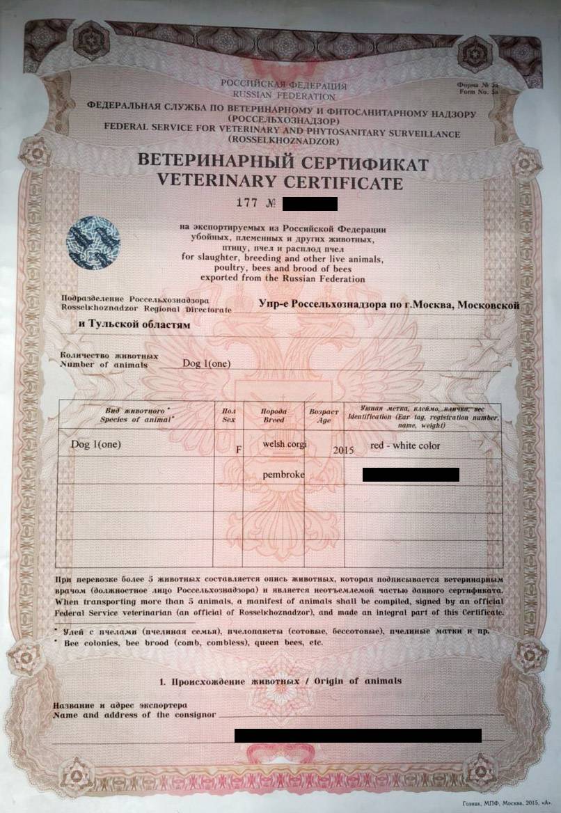 Так как мы ехали через Беларусь, сертификат я получил заранее в ветеринарном пункте на Киевском вокзале. Очереди не было. Оформили за 30 минут. Врач проверил чип, поставил отметки о вакцинациях и заполнил основные пункты маршрута поездки