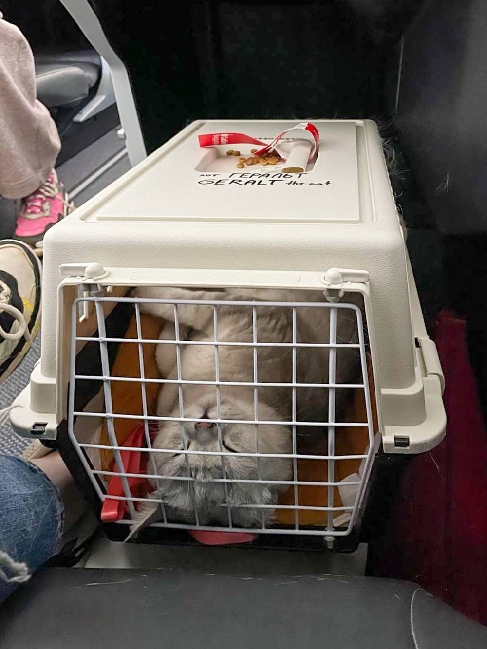 Можно ли перевозить корм для животных через границу