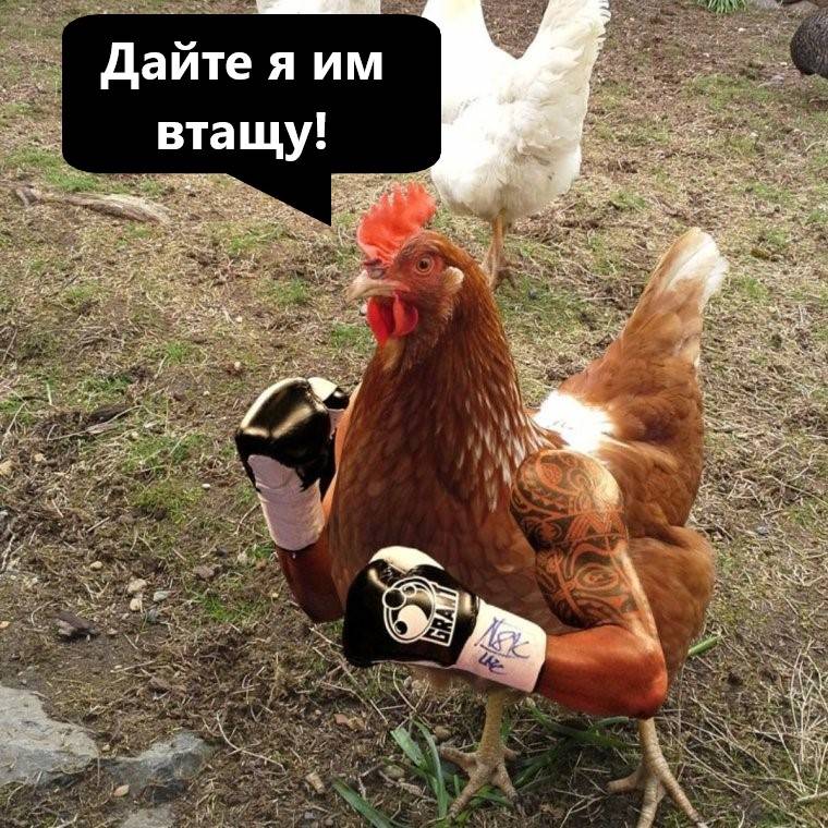 Изображение пользователя Винсент