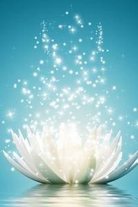 Полина Достова