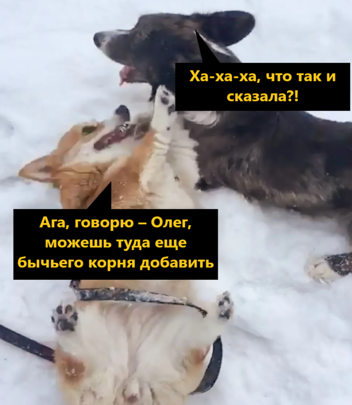 Изображение пользователя Винсент