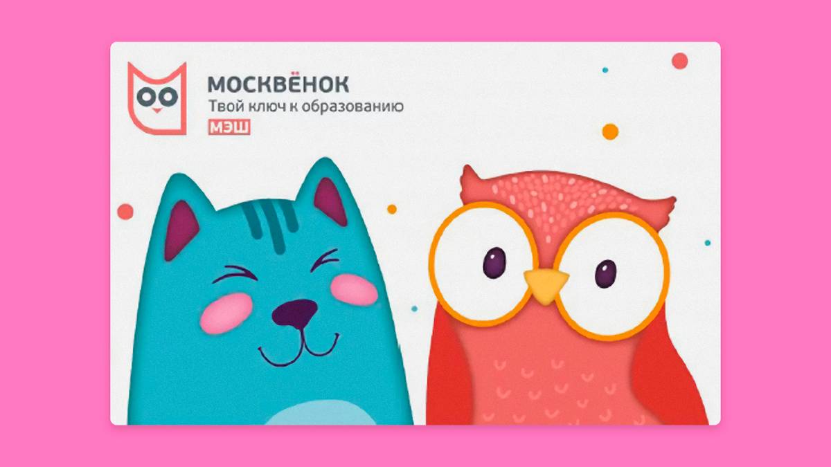 Карта питания школьника «Москвенок»: как ей пользоваться