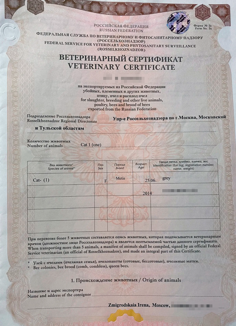 Решение КТС  от 18.06.2010 № 317  "О применении ветеринарно-санитарных мер в Евразийском экономическом союзе"