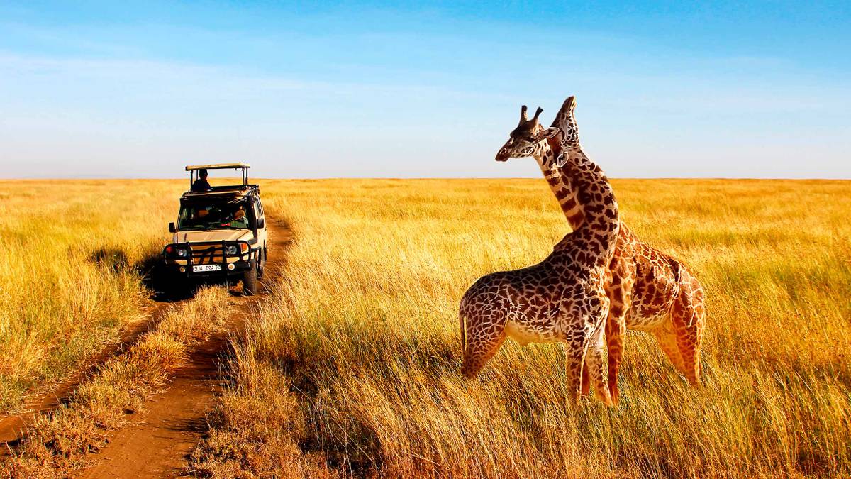 kenia safari ceny 2023
