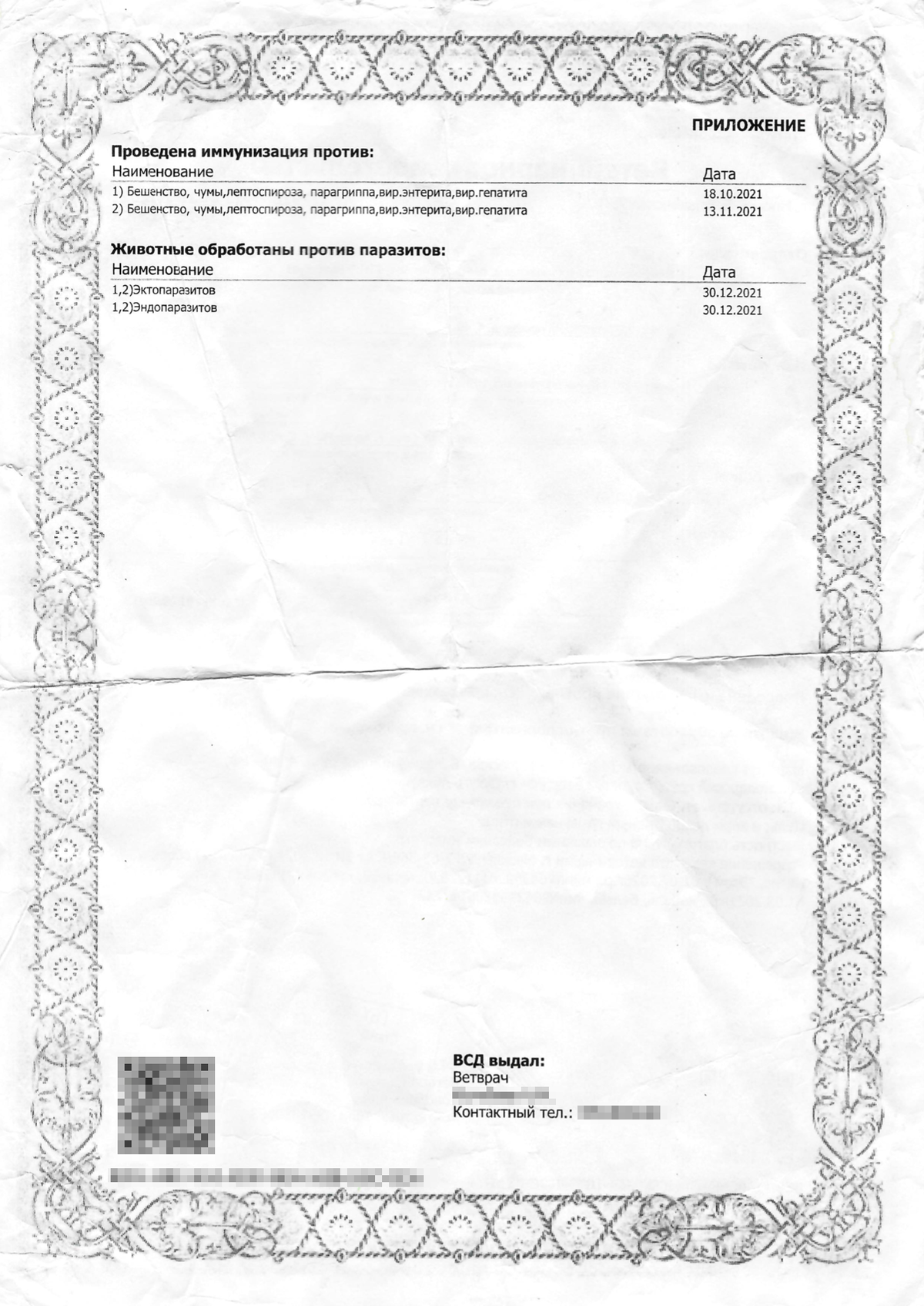 Какие прививки нужны для перевозки кошки в поезде