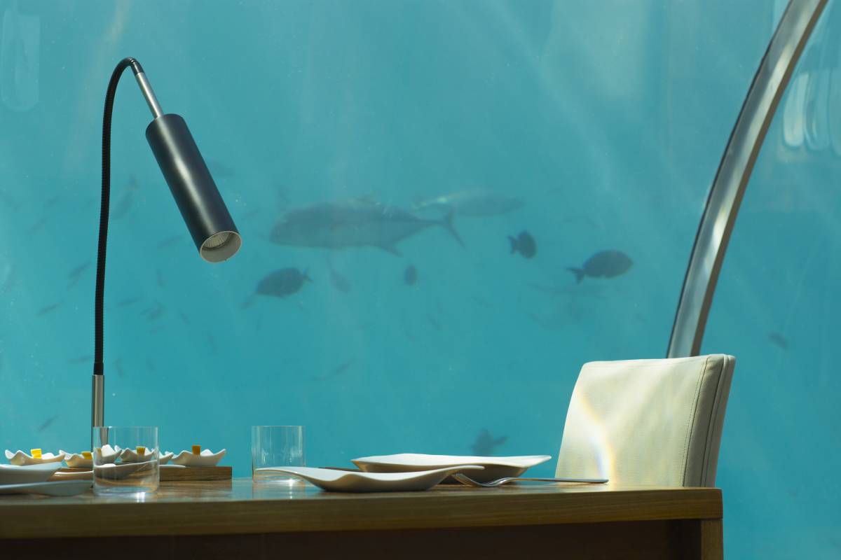 Во время обеда или&nbsp;ужина за стеклом плавают рыбы. Фото:&nbsp;Elena Malysheva / Shutterstock