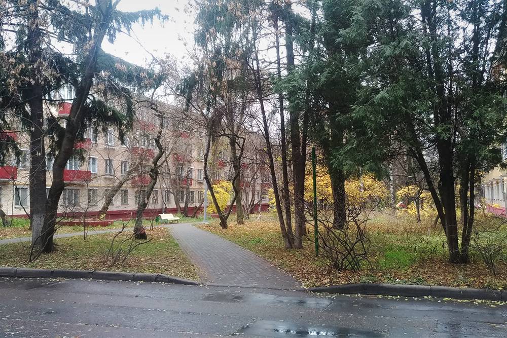 И сегодня дворы экспериментального квартала утопают в зелени