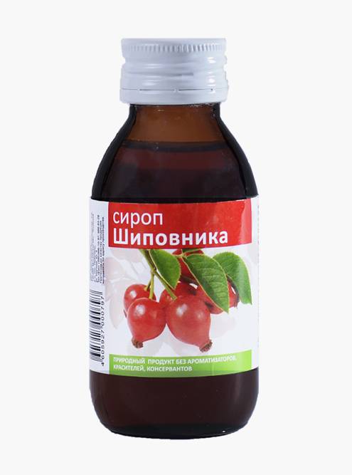 Шиповник: польза и вред отвара, как заваривать плоды в домашних условиях