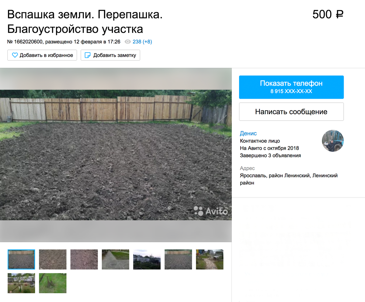 Зачем нужен огород: что выгодно выращивать